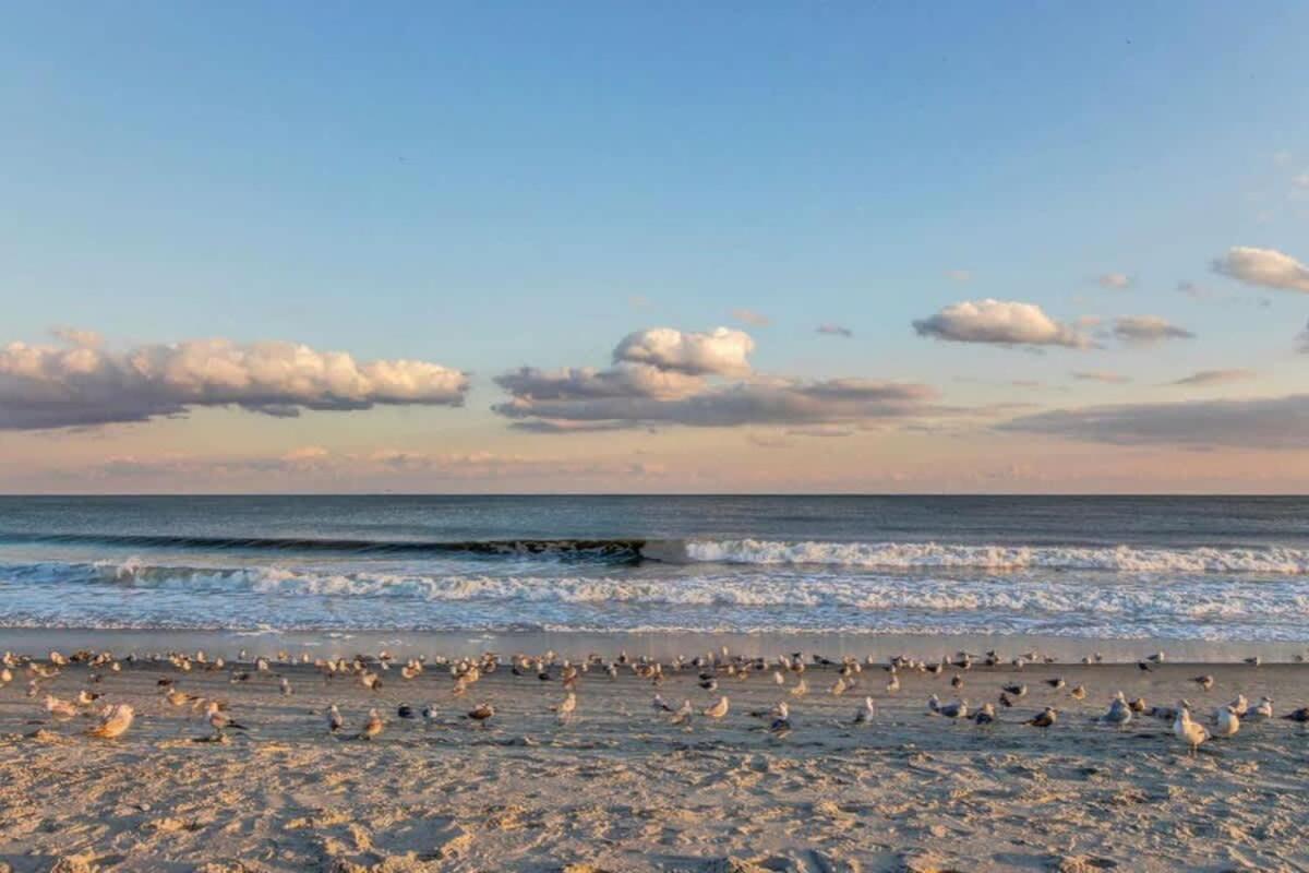 *Oceanfront Sun & Fun*Queen Beds*Pools*Hot Tubs*More*B118 Myrtle Beach Eksteriør bilde